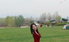 念亲恩电视剧全集